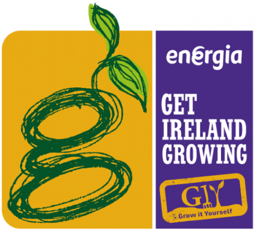 Energia Get Ireland Growing Supporting Community Growing Projects across Ireland